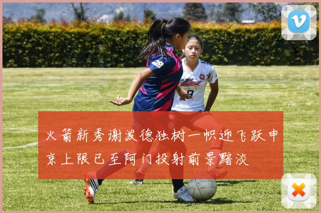 火箭新秀谢泼德独树一帜迎飞跃申京上限已至阿门投射前景黯淡